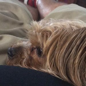 Meet your Posher, Jonathan